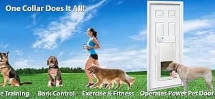 Genuine Power Pet Fully Automatic Pet Door from Brand. Pet Collar Operated — collection imagery