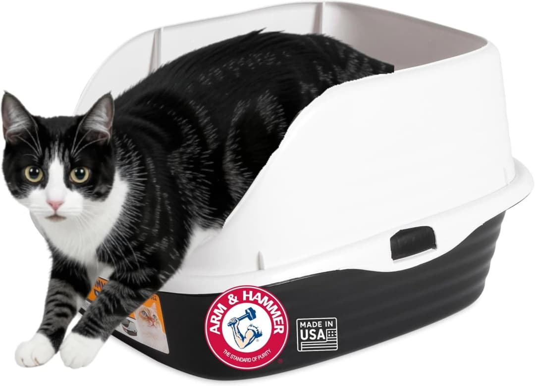 Rimmed Open Cat Litter Box — Wave with High Sides