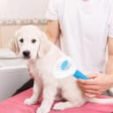 Self Cleaning Slicker Brush, Dog and Cat Bunny Pet Grooming Shedding Brush - Easy to Remove Loose Undercoat