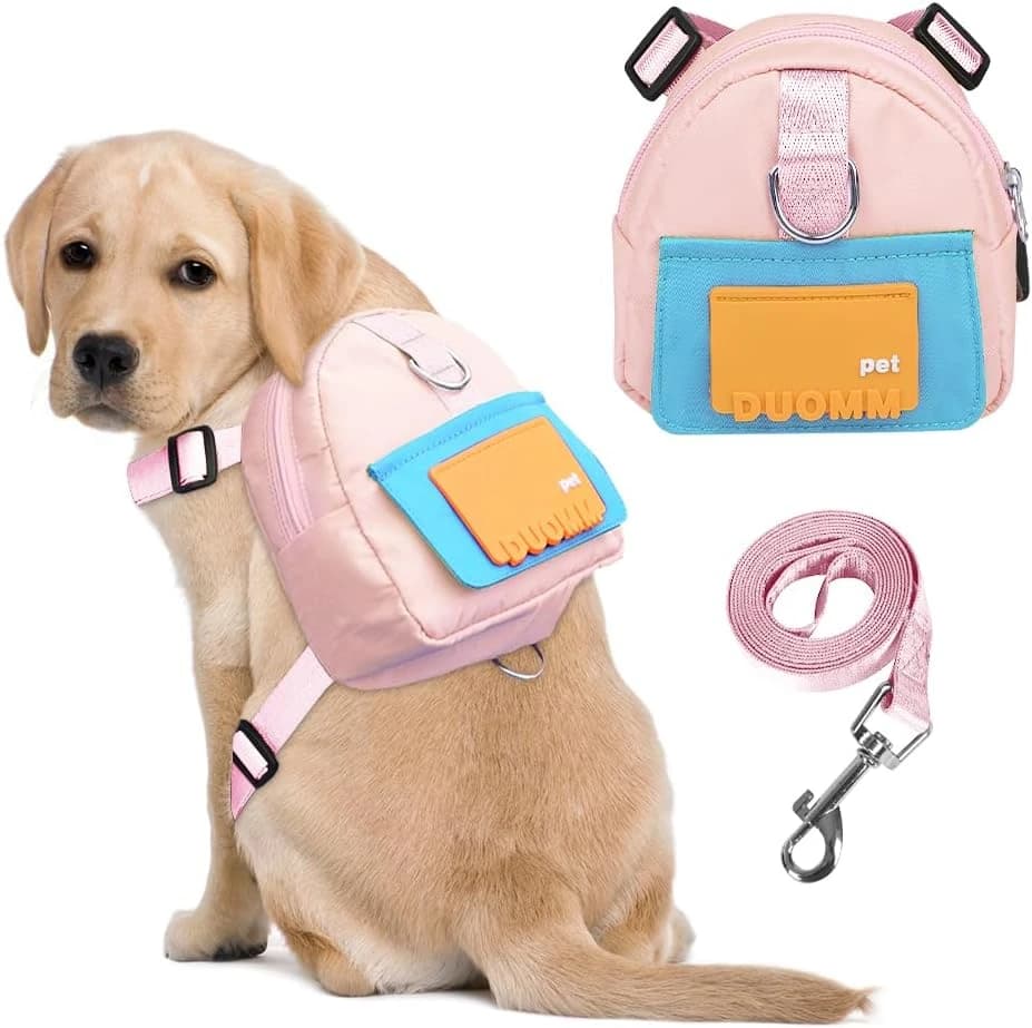 Dog Backpack for Small Dogs to Wear