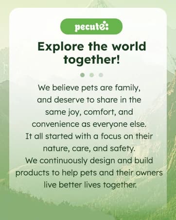 Cat Backpack Expandable — Cat Carrier Backpack with Breathable Window — collection imagery