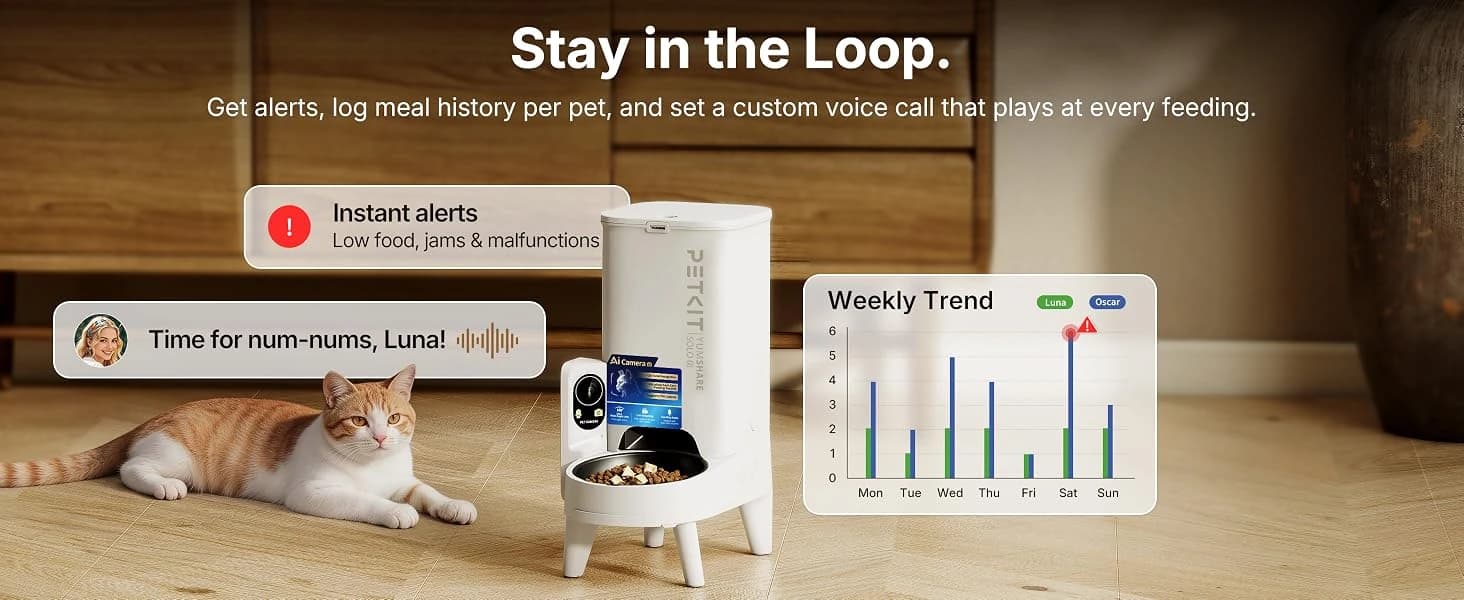 Upgraded Multi-Cat Recognition Automatic Cat Feeder with Camera — collection imagery