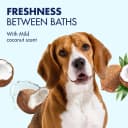 Puppy Grooming Wipes — Coconut Water