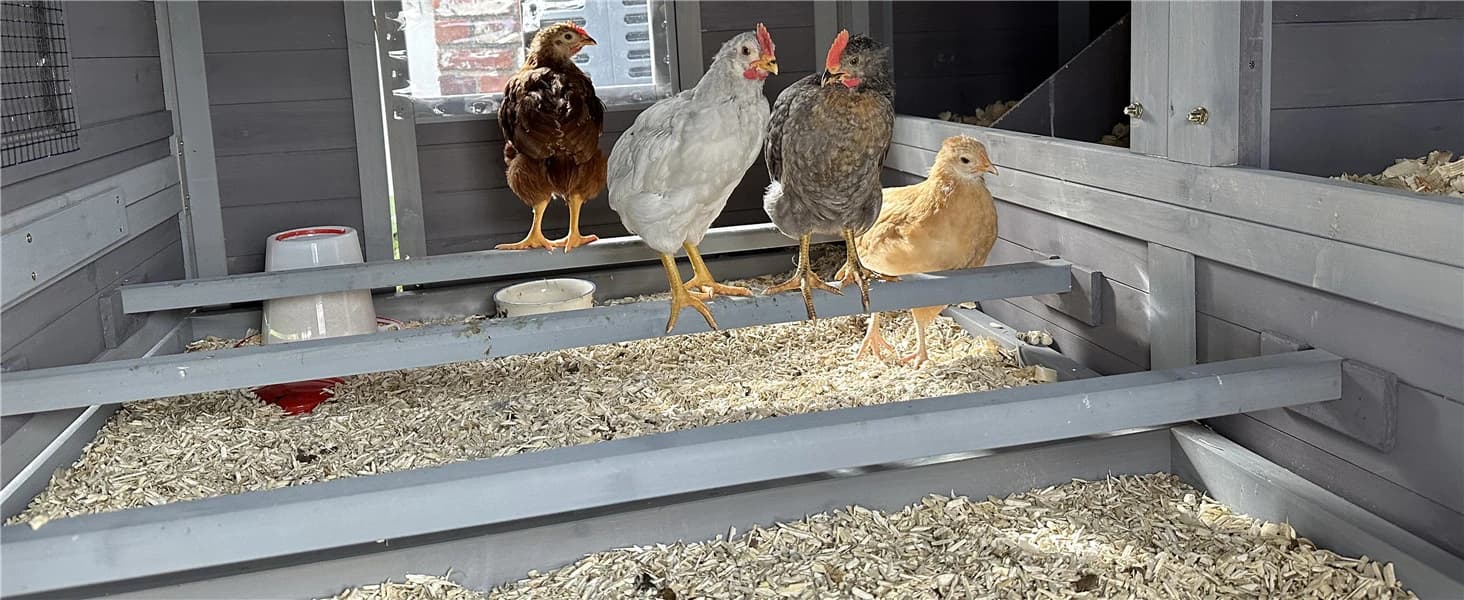 Large Chicken Coop on Wheels Mobile Wooden Hen House Weatherproof Duck Poultry Cage 67.3" L for 6-8 Chickens — collection imagery