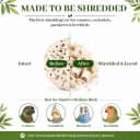 Bird Toys Sola Balls 2.36'' - 6PCS — Bird Foraging Toy