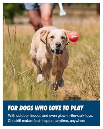 Paraflight Flying Disc Dog Toy — collection imagery