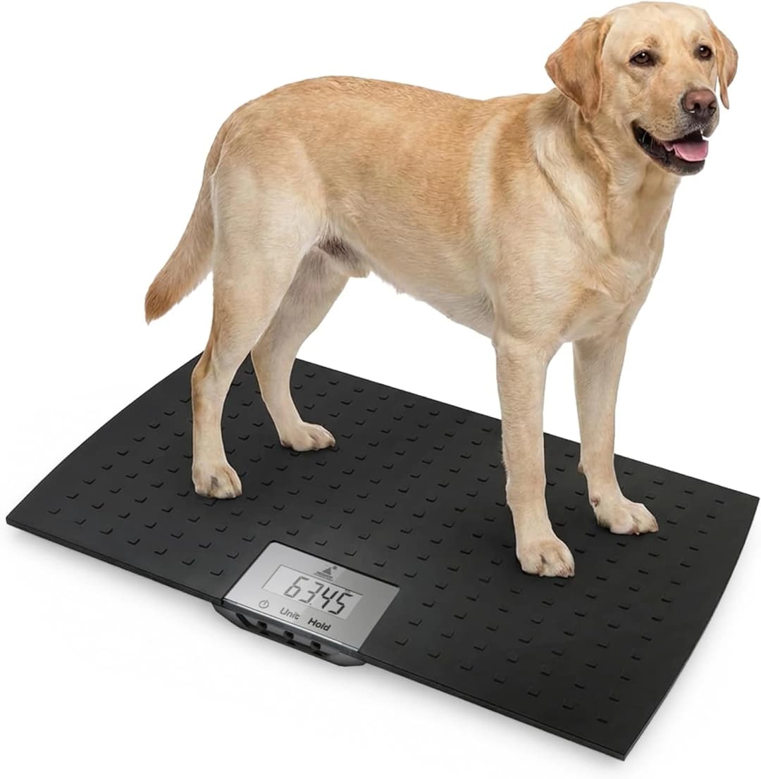 Precision Digital Pet Scale for Large Animals with Non-Skid Mat