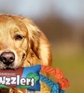 Dog Treat Pouch — Portable Puppy Dog Training Treat Bag — collection imagery