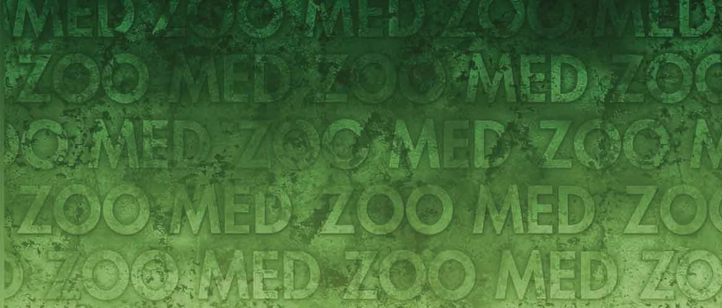 Natural Cork Tile Background — collection imagery