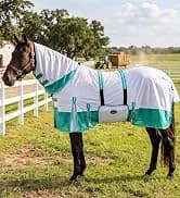 1200D Waterproof Winter Turnout Horse Blanket — collection imagery