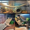 2 Pack Large Bearded Dragon Hammock,30"x7"Lizard Climbing Lounger