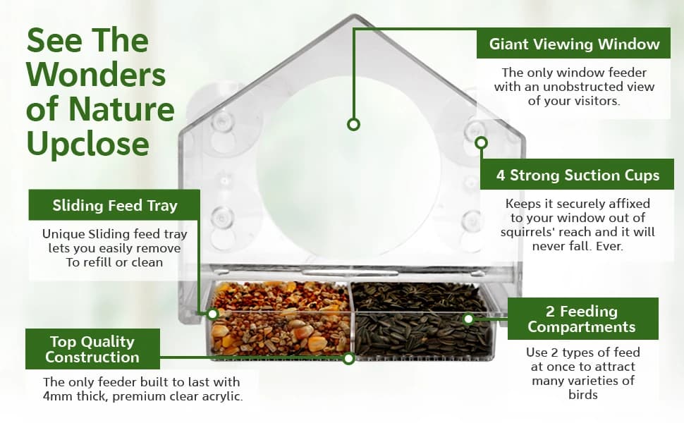 Window Bird Feeder with Strong Suction Cups — product details