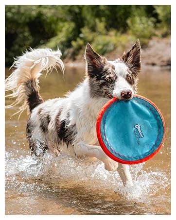 Vari Dog Kennel — Carrier for Large Dogs — collection imagery