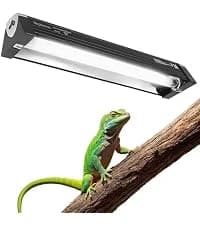 Reptile Chameleon Cantina Drinking Fountain Water dripper Supplied with Feeding Tongs and Frosted Tweezer for — collection imagery