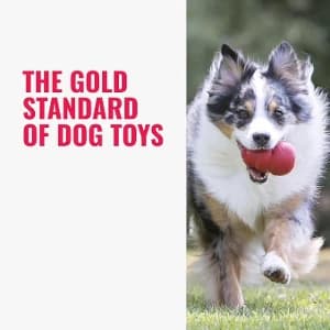 Flyer — Natural Rubber Flying Disc Fetch Toy — collection imagery