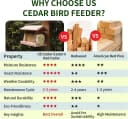 Squirrel-Proof Cedar Hopper Bird Feeder