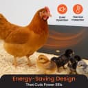 Cozy Coop Chicken Coop Heater