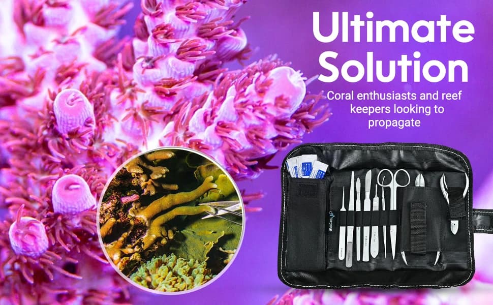 Premium Coral Fragging Kit — Complete Coral Propagation and Fragging Set — product details