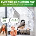 Window Bird Feeder with Strong Suction Cups