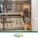 Paws Portable Pet Gate: 26-40" Wide Expandable