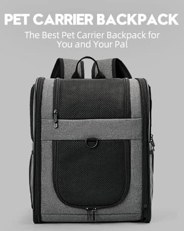 Cat Backpack Carrier — Support Frame — collection imagery