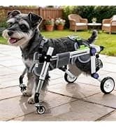 Dog Wheelchair for Back Legs — Adjustable Mobility Cart for Dog — collection imagery