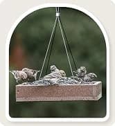 Metal Bird Feeders for Outdoors Hanging — collection imagery