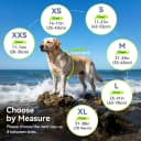 Dog Life Vest Rip Stop Dog Swim Vest