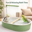 Indoor Bird Bath Fountain — Dual Rainfall Parrot Shower with Anti-Clog Pump and Filter Sponge