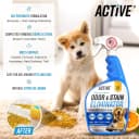 Pet Odor and Stain Eliminator - 32 oz Enzyme Cleaner for Dog & Cat Urine