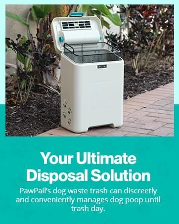Pet Waste Station with Activated Carbon Filter and DualVent Odor Control - Outdoor Dog Poop Trash Can with 200 — collection imagery