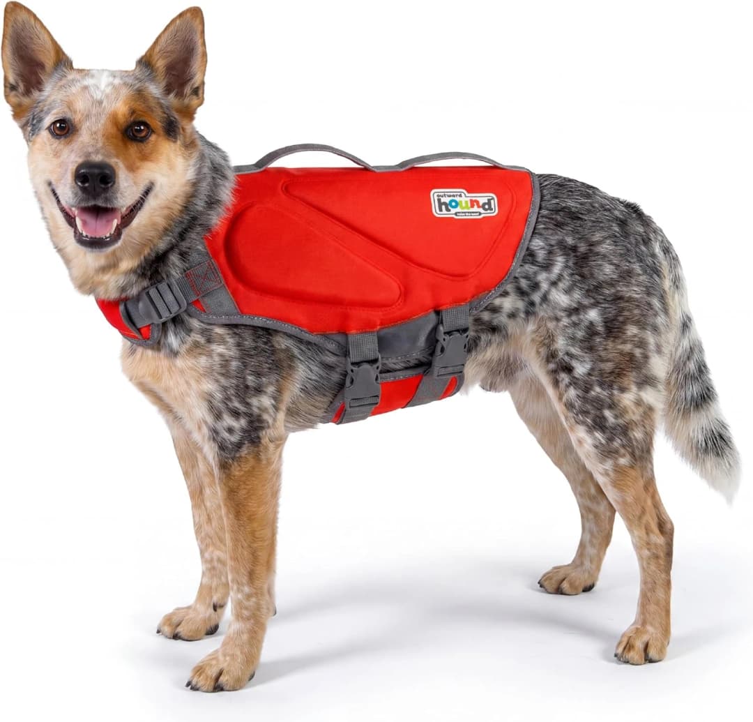Dawson Swim Dog Life Jacket — Life Vest