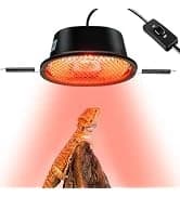 3 in 1 Reptile Hide Cave with Detachable Base and Humidity Dish — collection imagery