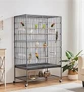 64-Inch Open Top Bird Cage for Parakeets and Cockatiels — collection imagery