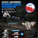Dog Bike Leash — Shock-Absorbing Bikejoring Leash with Antenna for M/Large Dogs