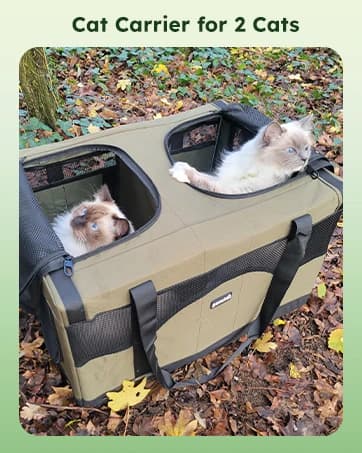 Raised Dog Bed with Cooling Mat — collection imagery