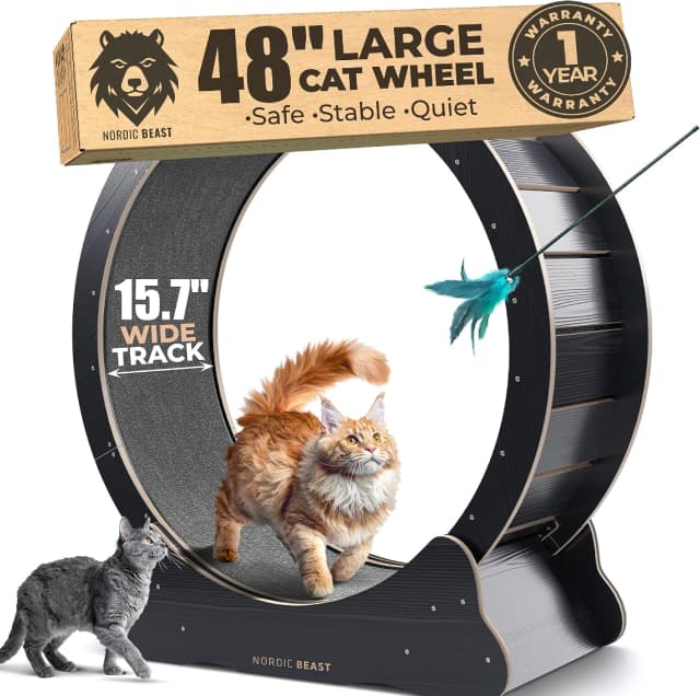 48'' XL Cat Wheel – Safe, Quiet and Stable Exercise Wheel for Large Indoor Cats up to 45 lbs – 15.7''