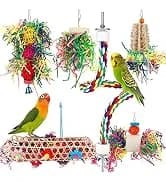 Bird Toys Conure Toys, Bird Parrot Foraging Shredder 24 Pcs Colorful Bagel Chewy Rings for Small Parrots — collection imagery