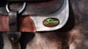 OrthoRide Made in USA Premium All Wool Build up