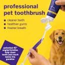 Professional Pet Toothbrush — 45° Cats + Dogs