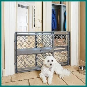 Paws Portable Pet Gate: 26-40" Wide Expandable — collection imagery