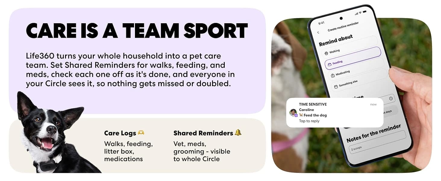 Pet GPS Tracker for Dogs | Live Tracking — product details