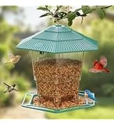 Bird Houses for Outside Real Wood-Look Resin Bird House with Hanging Chain – Waterproof and Durable Forest — collection imagery