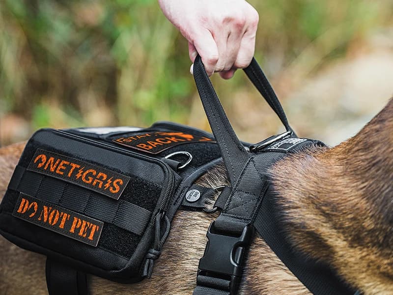 Service Dog Vest Harness, Service Dog Cape Guardian Dog Backpack Harness with Pouches Dog Saddle Bag for Small — 3 in — 1 Design
