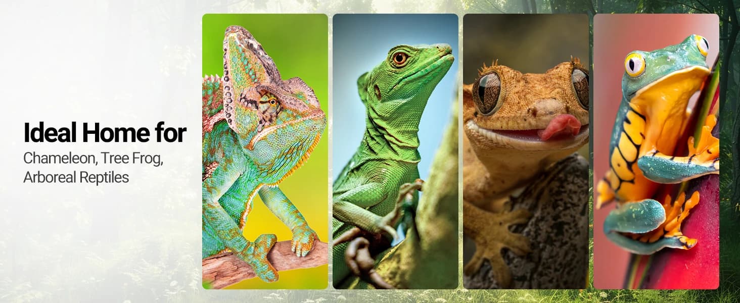 18" x 18" x 36" Front Opening Chameleon Cage with 3-Sided Metal Mesh — product details