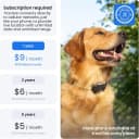XL Smart Dog GPS Tracker | Live Pet Tracker with Virtual Fence | Vital Signs Monitoring of Heart and