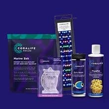 Biocube Protein Skimmer — Aquarium Skimmer — For Every Aquatic Environment