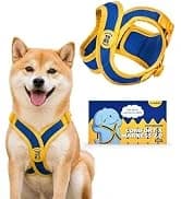 Professional Eye Comb for Pets — collection imagery