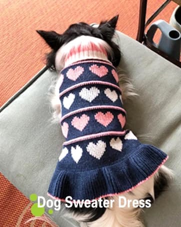Soft Dog Hoodies for Small Dogs — collection imagery