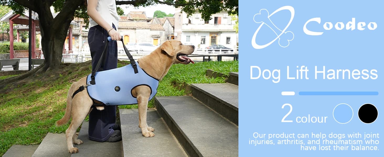 Dog Lift Harness, Pet Support and Rehabilitation Sling Lift Adjustable Padded Breathable Straps for Old — product details